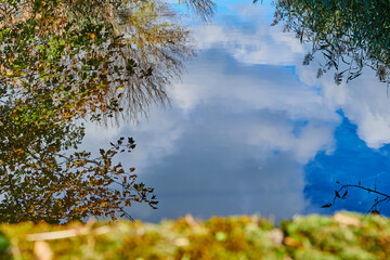Sunny autumn mood at a small creek in the surrounding countryside of Berlin, Germany.
