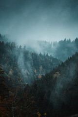 Moody dark mountain scene with pine tree silhouettes on a rainy autumn day with fog and mist. Perfect winter mood in the nature. Harz National Park, Harz mountains in Germany