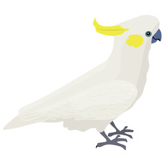 
A small sparrow like bird in white color  depicting cockatoo
