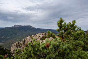 panoramic view of the mountains and the valley against the backdrop of green pine trees and autumn sky