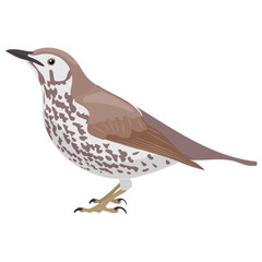 
Colorful bird with feathers and beak