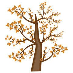 Fototapeta premium A wide branches tree having rustic tree leaves 