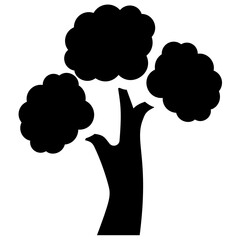 
A tree with small circular leaf and branches structure is pinus bonsai  
