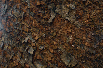 Abstract wood grain texture with natural wood pattern for design and decoration. Dark brown and black wooden background. Rock texture and fallen dry leaves background. Beautiful green leaf background