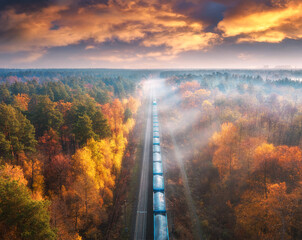 Aerial view of freight train in beautiful forest in fog at sunset in autumn. Landscape with...
