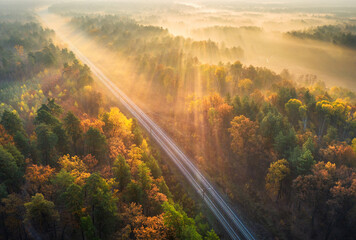 Aerial view of beautiful railroad in autumn forest in foggy sunrise. Industrial landscape with...