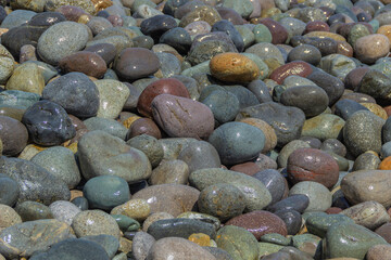 Piedras de río mojadas.