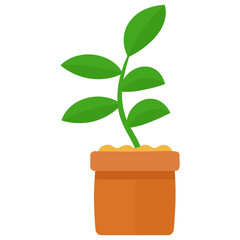 
A pot having plant with tree like leaves, devil's ivy plant 
