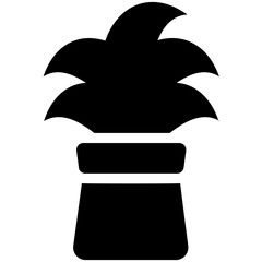 
A wide flowery like leaves in a pot depicting aspidistra elatior 
