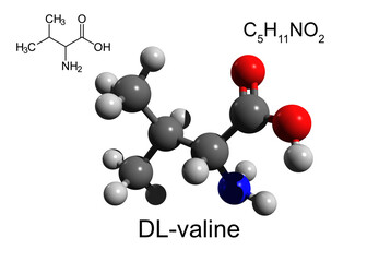 Chemical formula, structural formula and 3D ball-and-stick model of DL-valine, an essential amino acid, white background
