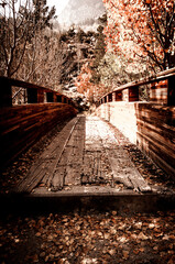 The old bridge in the woods 