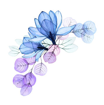 Transparent Flower Images – Browse 1,718 Stock Photos, Vectors, and Video