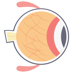 
Internal eyeball with some veins, capillaries and nerves showcasing eye icon
