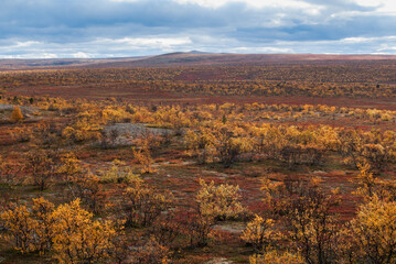 The scenery of wild and autumn nature of the Finnmark region of Norway
