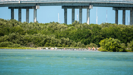 Puente de progreso Yucatán