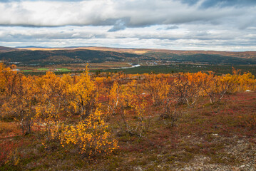 The scenery of wild and autumn nature of the Finnmark region of Norway