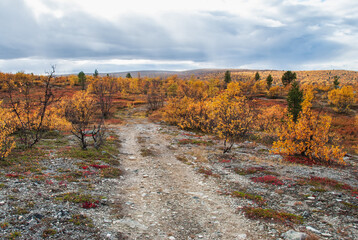 A way going through harsh autumn nature of Finnmark, Norway