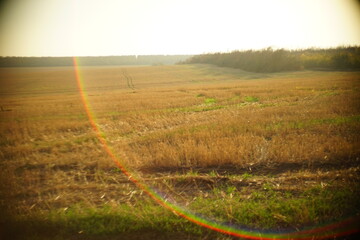 sunny autumn field with amazing sun light