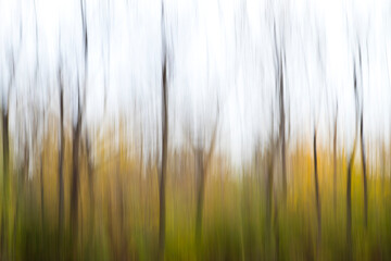 Autumn landscape ICM