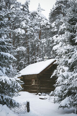 Wooden log house in a pine forest trees covered with snow in winter in Karelia, Russia.