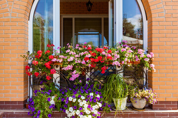 Fototapeta na wymiar flowers on the windowsill