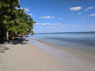 Empty beach in the Florida Keys.