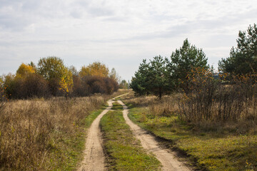 Fototapeta na wymiar Autumn landscape - road among yellowed trees and overcast sky and space for copying