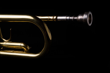 Brass instruments, golden trumpet in the dark

