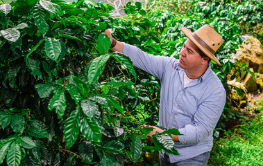 person watering a plant