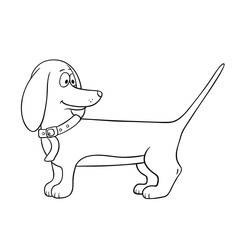 Vector cute dachshund dog illustration on a white background