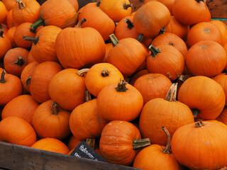 citrouilles entassées dans un  caisse