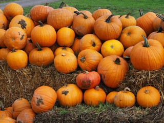 Obraz premium décoration d'halloween avec citrouilles