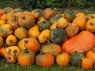 d&eacute;cors d'Halloween avec des citrouilles