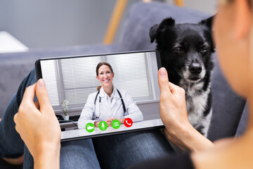 Web Video Conference Call With Doctor