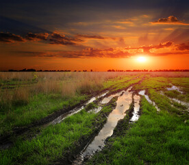 sunset in steppe