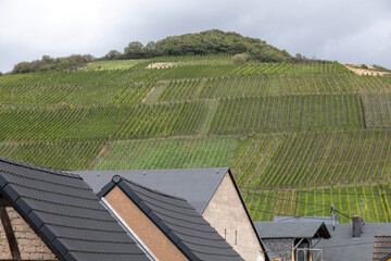 Kleines Dorf an einem Berghang mit Weinanbau