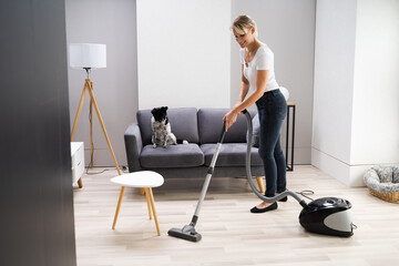 Fototapeta na wymiar Young Maid Cleaning Carpet With Vacuum Cleaner