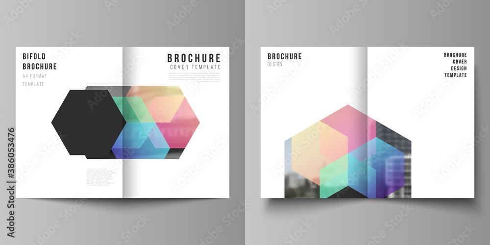 Poster vector layout of two a4 format cover mockups design templates with colorful hexagons, geometric shap