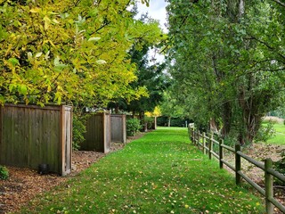 path in the park