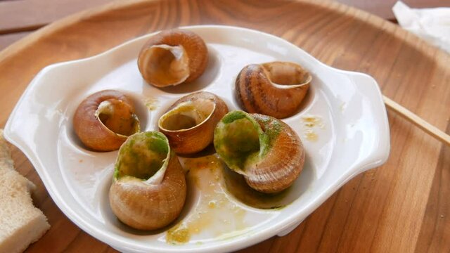 Eaten snail dish in sauce on a special plate in a restaurant. Expensive and healthy food, empty shells.