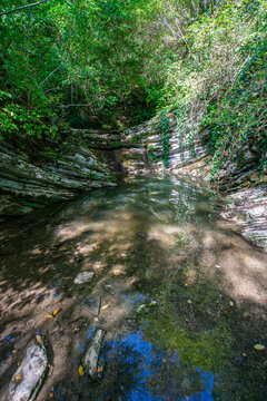 Crab gorge - small reservoir and stream in Big Sochi region