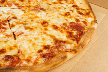 Simple Italian Pizza with Cheese Texture Background Closeup