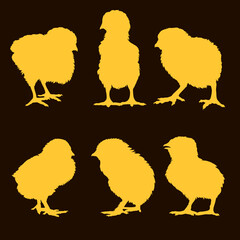 chicken silhouettes vector