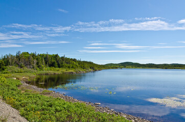 The shore of Newfoundland