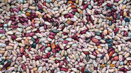 Multicolored beans background, many colorful dry beans, top view. Whole grain. Healthy protein food. Organic farm products.
