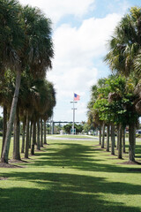 American Flag Flying in a Park
