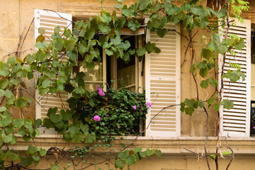 Window of an old house with flowers and ivy in Paris, France 