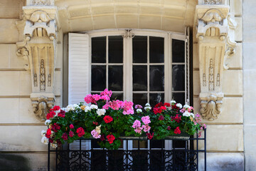 Parisian window and balcony with geranium flowers, Paris, france
