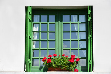 Fototapeta na wymiar Green window with red geranium flowers , Paris, france