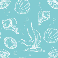Detailed hand drawn blue and white illustration seamless pattern of sea shells, pearl. sketch. Vector. Elements in graphic style label, card, sticker, menu, package.